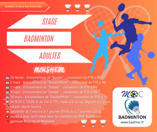 affiche stage février